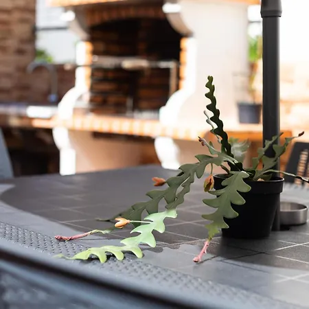 Zurrinha Holidays Whit Jacuzzi * 쿼테이라